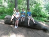 sam_0243